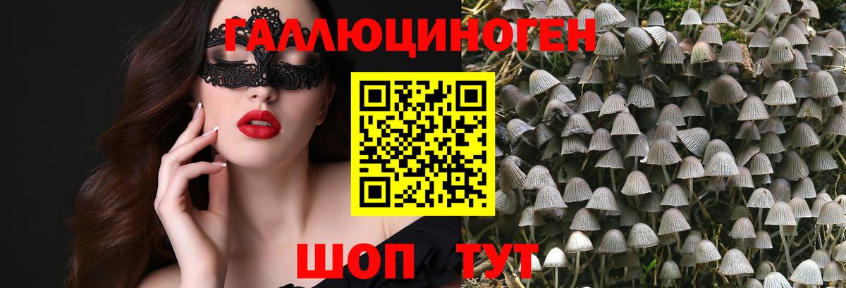 Псилоцибиновые грибы ЛСД Белово