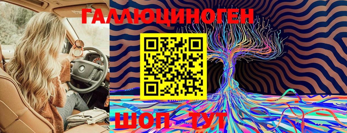 Псилоцибиновые грибы GOLDEN TEACHER  Вход с VPN  Белово 